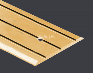 Одноуровневый порог 40 мм с насечками Cezar LPPS 40 1,0 м латунь полированная с отверстием Одноуровневый порог 40 мм с насечками Cezar LPPS 40 1,0 м латунь полированная с отверстием