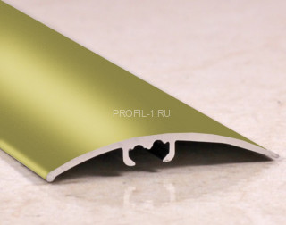 Порог с дюбелем алюминиевый 40 мм Cezar LWSZ 40 оливка матовая 2,0 м Порог с дюбелем алюминиевый 40 мм Cezar LWSZ 40 оливка матовая 2,0 м