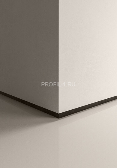 Теневой плинтус Евротрим 5955.00 золото анодированный 2 м