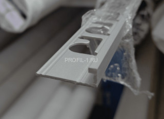 L-профиль алюминиевый 6 мм Progress Profiles PTAA 60 серебро 2,7 м