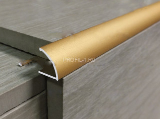 Алюминиевый профиль С-образный 12 мм РН12 Золото КЕ 2,7 м (упаковка 10 штук)