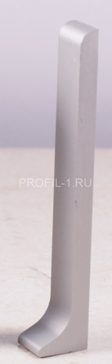 Заглушка для плинтуса Диал ПЛ-100зг серебро