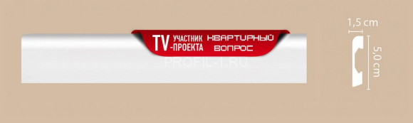 Плинтус DECOMASTER A038 (50x15x2000) напольный, ударопрочный полимер, белый, под покраску Плинтус DECOMASTER A038 (50x15x2000) напольный, ударопрочный полимер, белый, под покраску