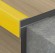 Алюминиевый профиль F-образный для плитки ПФ-10 золото матовое  2,7 м