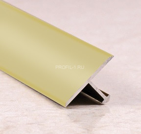 Т-профиль алюминиевый 18 мм ПТ-18 бронза матовая 2,7 м