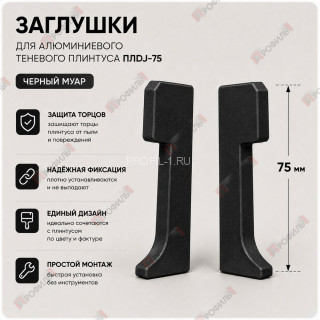 Заглушки торцевые ( пара ) для плинтуса ПЛDJ-75 черный муар