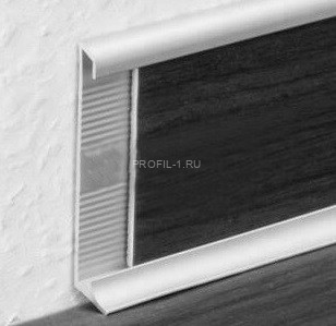 Алюминиевый плинтус для ковролина 60 мм ПО-194 серебро матовое 2,7 м Алюминиевый плинтус для ковролина 60 мм ПО-194 серебро матовое 2,7 м