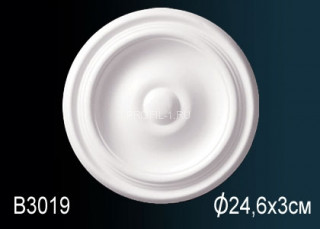 Потолочная розетка Перфект B3019 243 мм